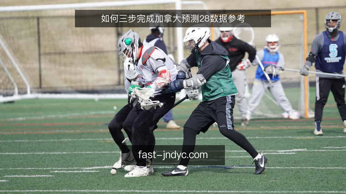如何三步完成加拿大预测28数据参考