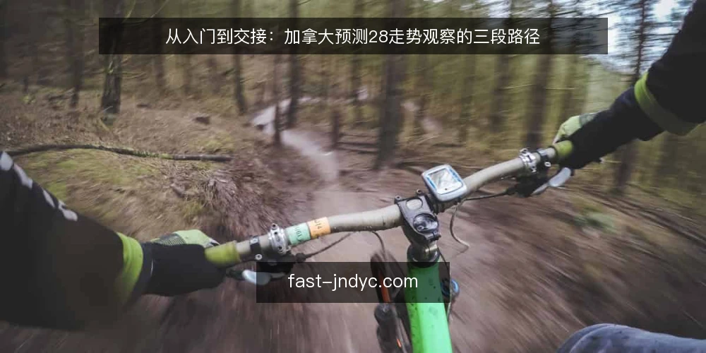 从入门到交接:加拿大预测28走势观察的三段路径 — 起点:明确数据参考的边界 配图
