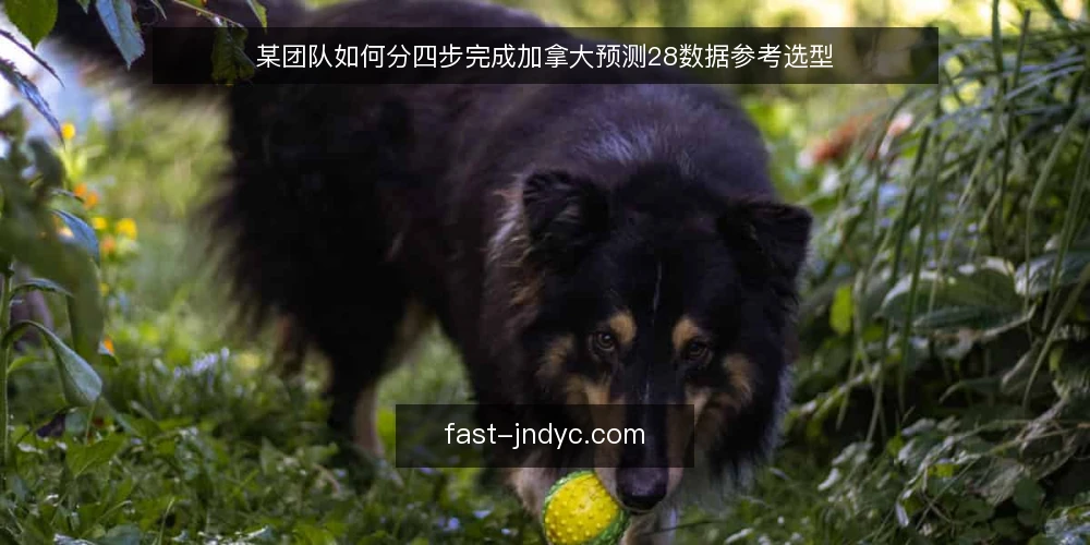 某团队如何分四步完成加拿大预测28数据参考选型 — 先明确数据参考的使用场景与约束 配图