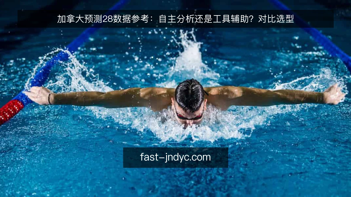 加拿大预测28数据参考：自主分析还是工具辅助？对比选型